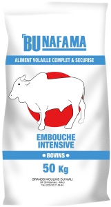 Bunafama-Bovins-Embouche Intenstive