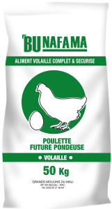 Bunafama-Volaille-Poullette future pondeuse