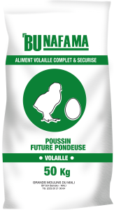 Bunafama-Volaille-Poussin Future Pondeuse