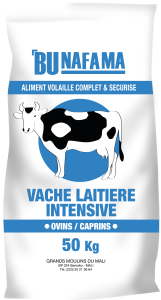 Bunafama-Bovins-Embouche Intenstive